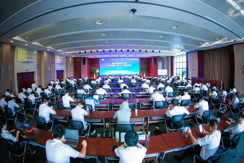 1754615567214243XSnK.jpg 423A4067.jpg